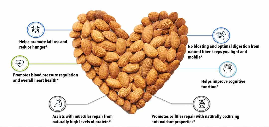 wholesale-food-grade-almond-milk-powder-lower-blood-sugar-buy-almond