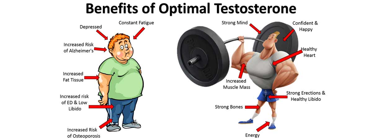benefits of optimal testosterone