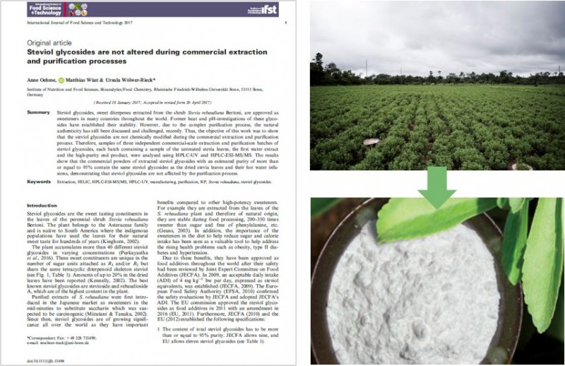 Unveiling the Sweet Symphony Exploring the Compatibility of Aspartame