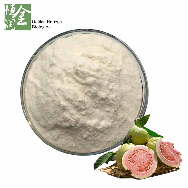Factory Supplier 100% Natural Guava Fruit Extract Powder in Bulk