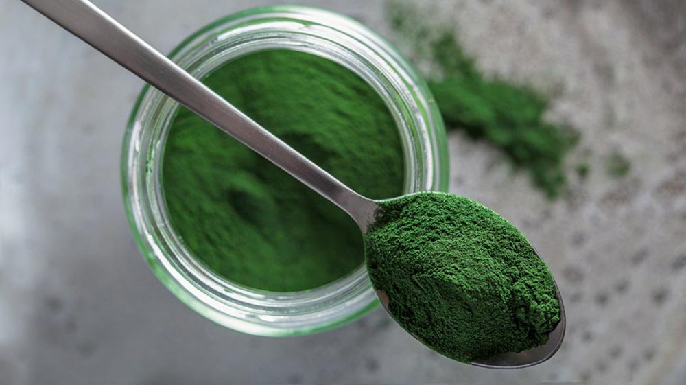 Spirulina Spirulina