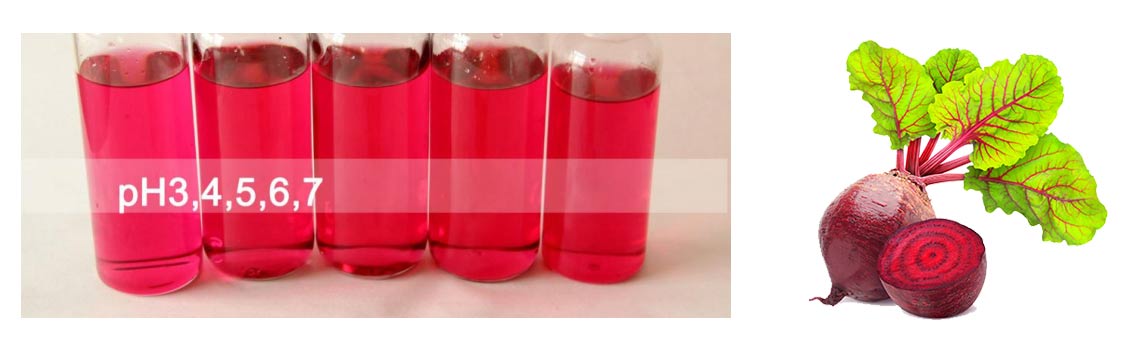 Beetroot red