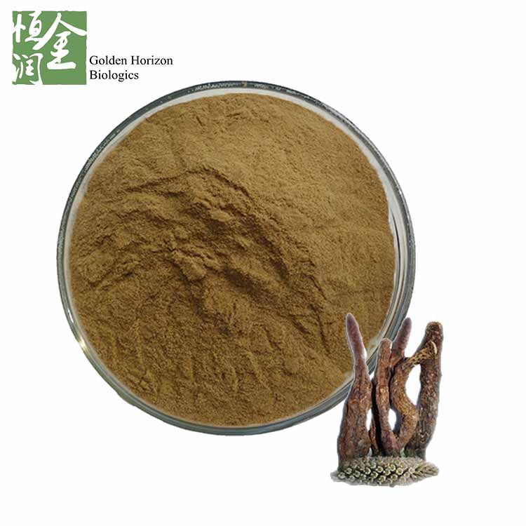 Sex Product Viagra Cistanche Tubulosa Extract Powder 20% Echinacoside