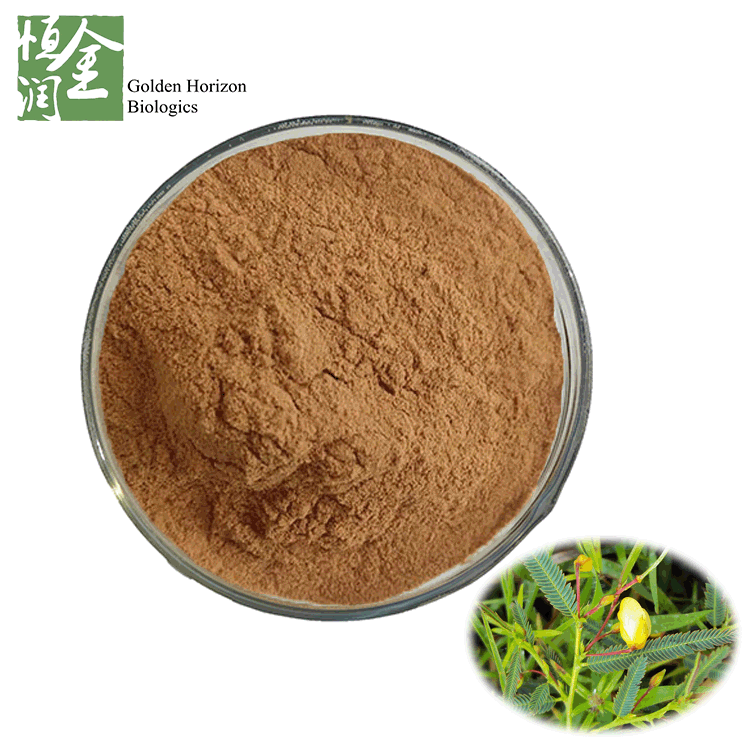 Whole Plant Cassia Nomame Extract Powder Maintaining healthy blood pressure