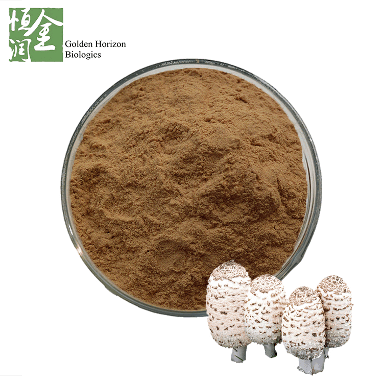 Hypoglycemic Effects Coprinus Comatus Extract Powder Applied Health Care
