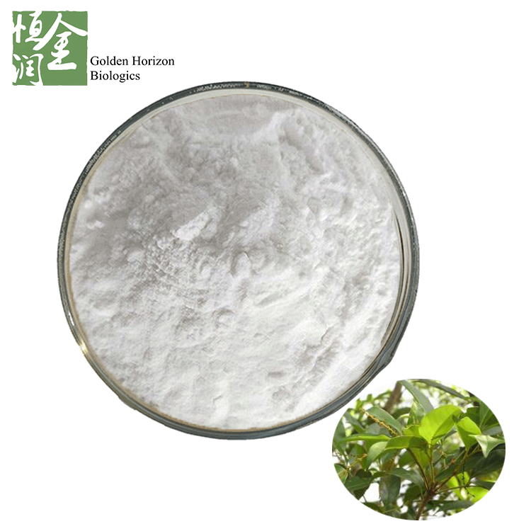 High Quality Engelhardtia Leaf Extract Powder For Relieve Pain