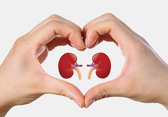 Strong kidney