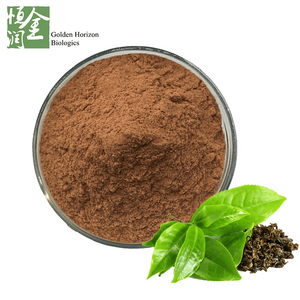 Antioxidant Green Tea Extract Polyphenol / Catechins/ EGCG / L-Theanine Wholesale