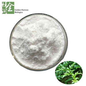 White fine powder Vine Tea Extract 98% Dihydromyricetin