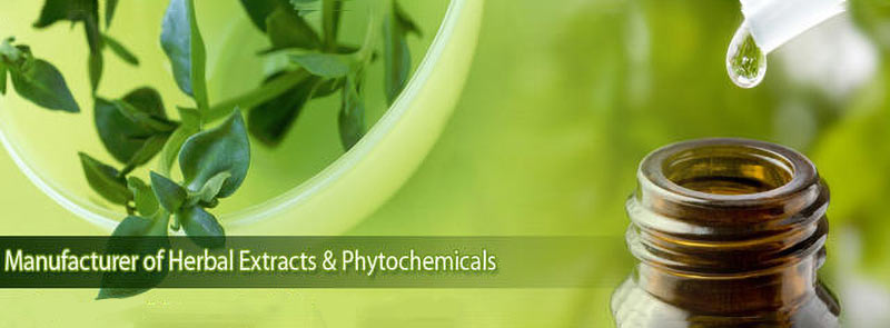 phytochemicals & plant extracts. phytochemicals & plant extracts.