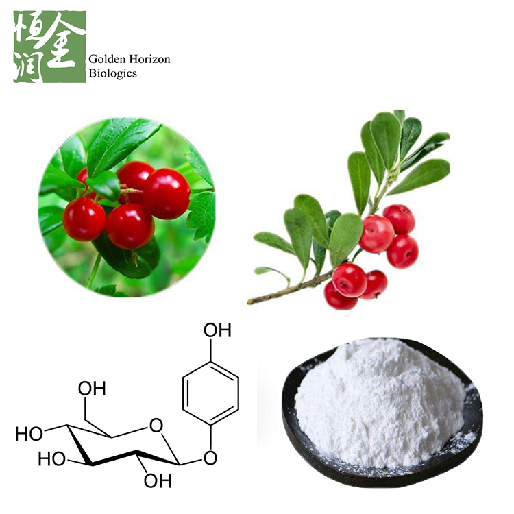 Bearberry Leaf Extract Arbutin 98%
