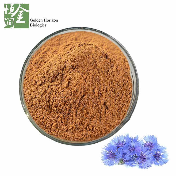 High Quality Cornflower Extract Centaurea Cyanus L. Powder