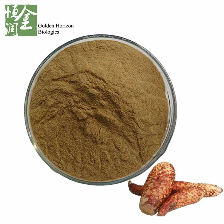 Water Soluble Cistanche Tubulosa Extract Powder for Immune System