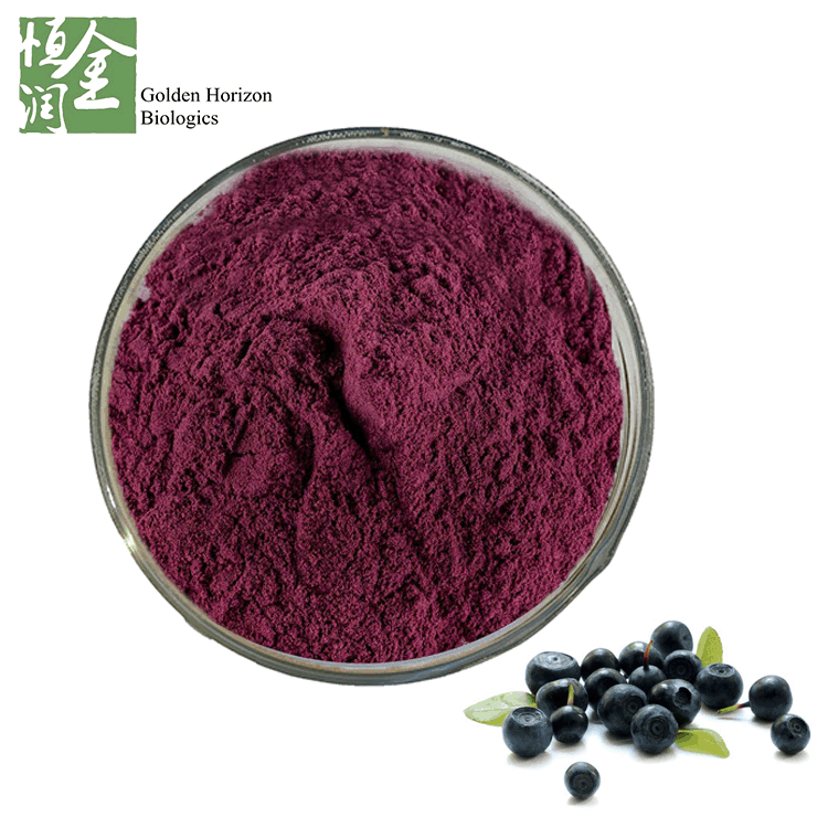 Factory Price Natural Brazil Acai Berry Extract Powder