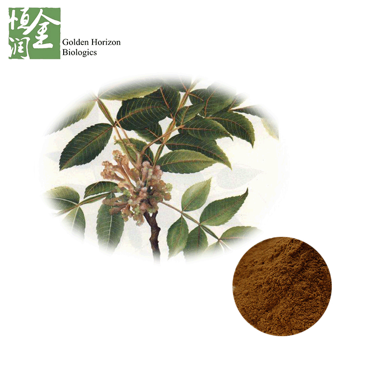 Tannic Acid Galla Chinensis Extract / Galla Chinensis Extract Powder