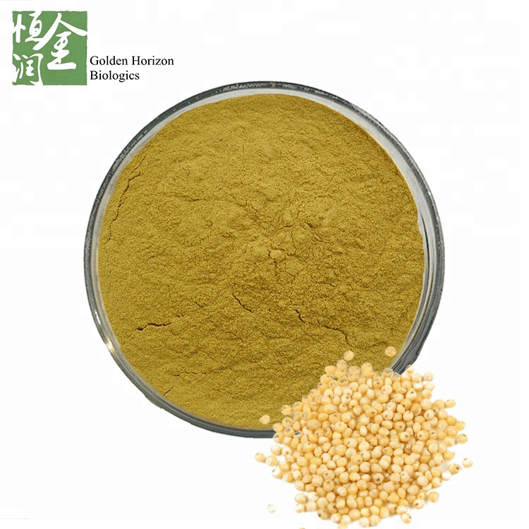 Health Panicum Miliaceum Seed Extract Powder / Millet Seed Extract Kill Parasites