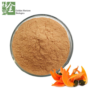 Sexual Improvement Enhancer Flower Butea Superba Extract Powder 10:1