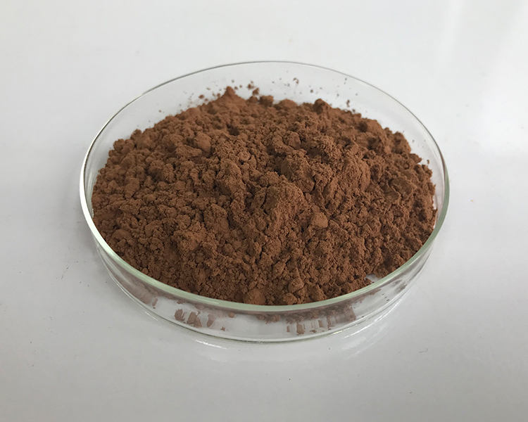 100% Pure Kola Nut Extract / Bitter Kola Nuts Powder 10% Theobromine