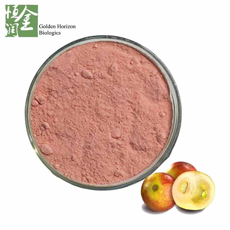 Whosale Natural Vitamin C Powder Best Camu Camu Extract Powder
