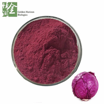 Natural Red Cabbage Extract Powder