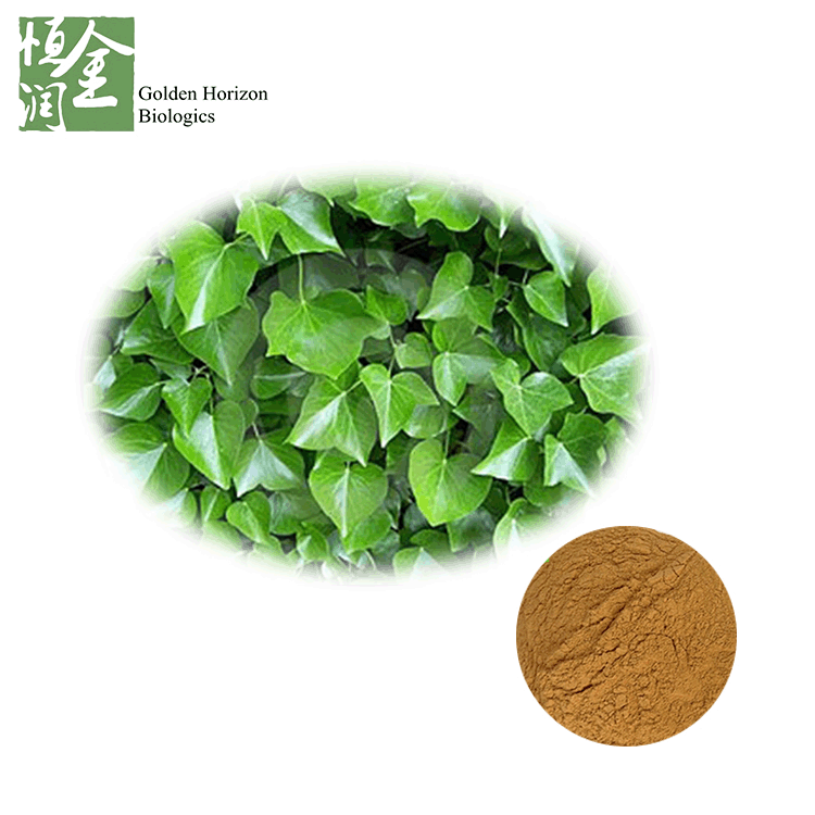 Herbal Medicine Hedera Helix Extract Nepal Ivy Leaf Extract Cough