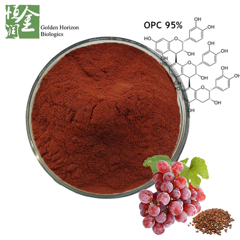  Antioxidant Life Extension Grape Seed Extract for Dietary Supplements