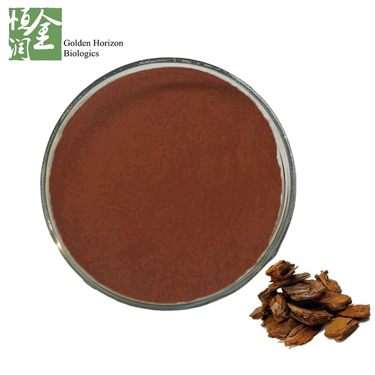 GMP Natural Source Maritime Pine Extract Best Quality Proanthocyanidins Pine Bark Extract