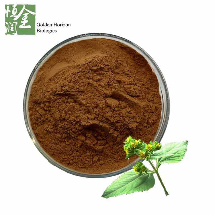 Natural Siegesbeckia Orientalis L. Extract Powder Used The Therapeutics 10:1
