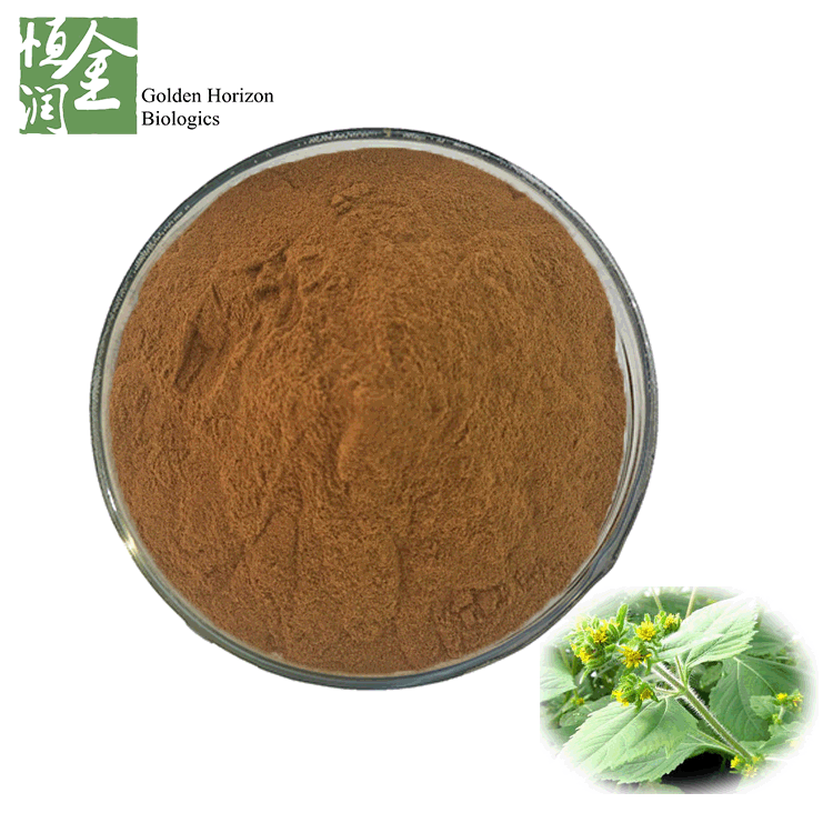 Natural Siegesbeckia Orientalis L. Extract 10:1 20:1 for Preventing Arthritic Disease