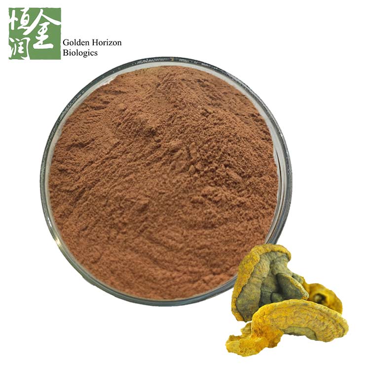 Factory Wholesale Phellinus Linteus Polysaccharide 30% Phellinus Linteus Extract
