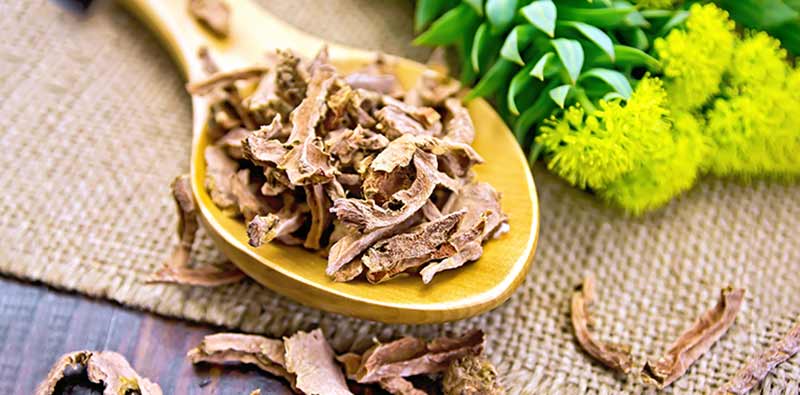 Rhodiola Rosea Rhodiola Rosea