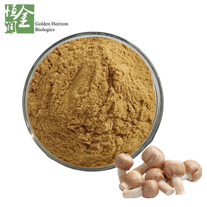 Anticancer Polysaccharides Agaricus Blazei Mushroom Extract