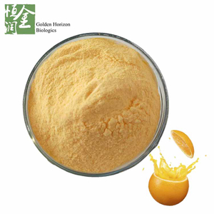 Manufacturer Supply Freeze Dried Fruit Powder Orange Juice Powder
