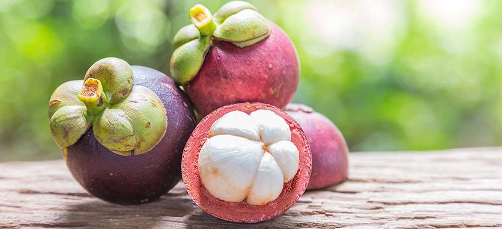 Mangosteen