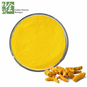 Turmeric for Pigmentation 1-95% Curcumin