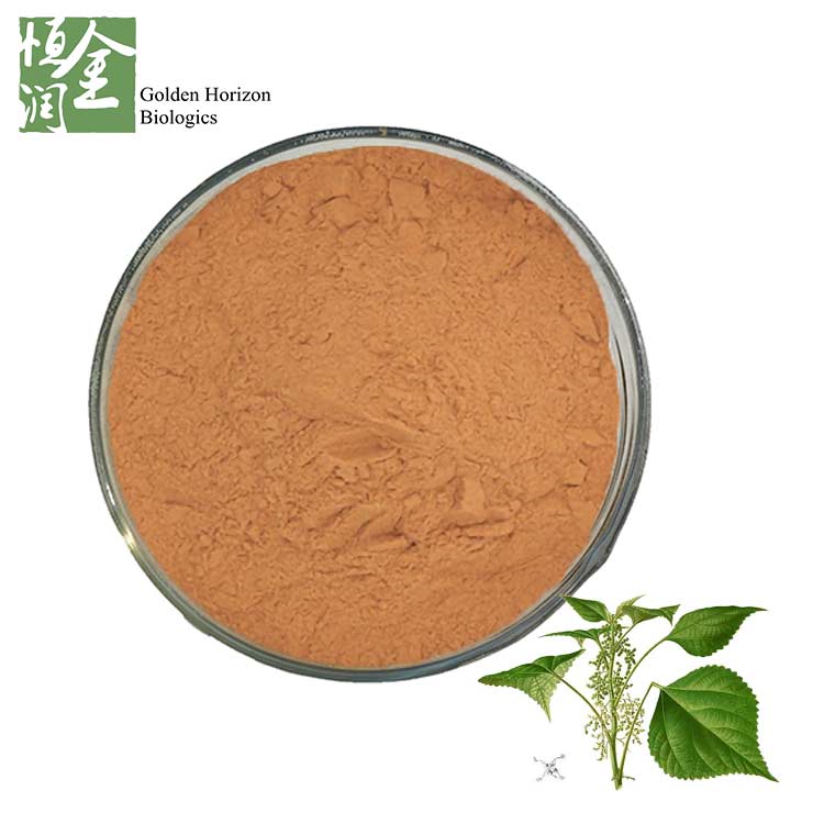Manufacturer High Quality Product Ramie Leaf Extract 