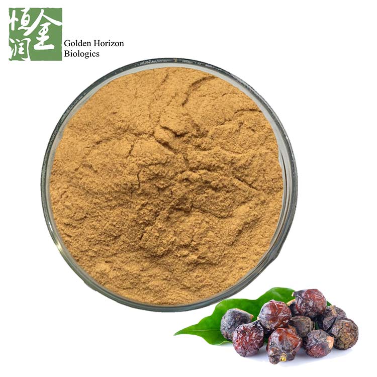Soapnut Saponins Sapindus Mukorossi Extract Soapnut Extract