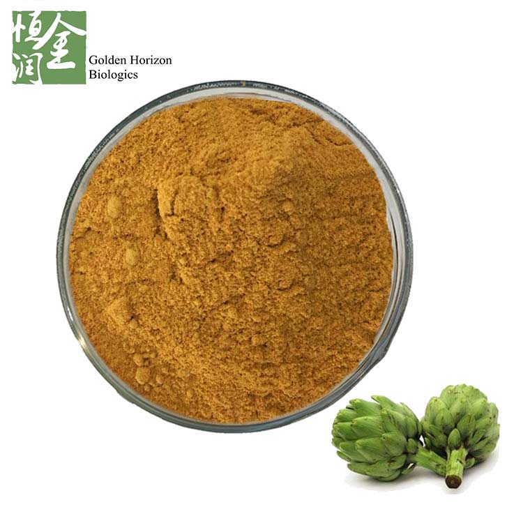 Cynara Scolymus Artichoke Extract /Scolymus Artichoke powder