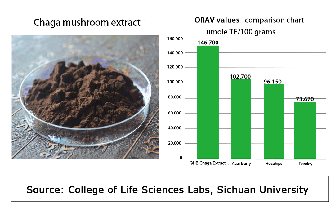 Chaga mushroom extract chart Chaga mushroom extract chart