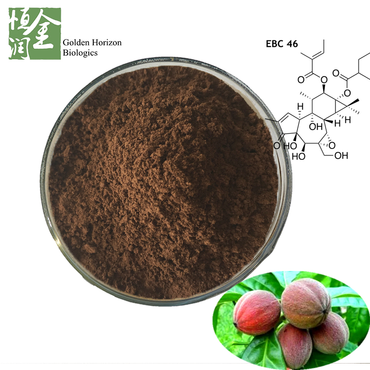 Factory Supply Wholesale Anti Tumor Pharmaceuticals Blushwood Berry Fruit Extract 5:1,10:1