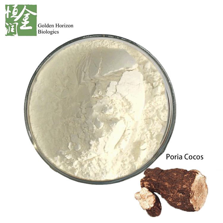Natural Poria Cocos Extract Powder for Weight Loss 