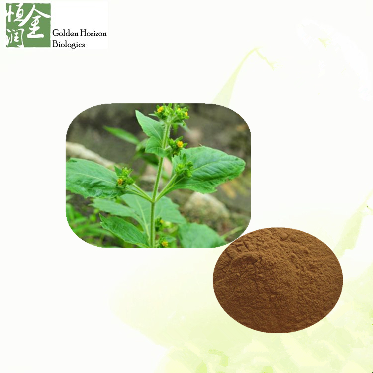 Chinese Herb Extract Siegesbeckia Orientalis Extract