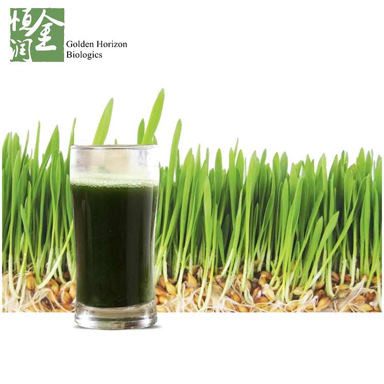 Organic Wheatgrass Powder / Wheat Grass Juice Powder