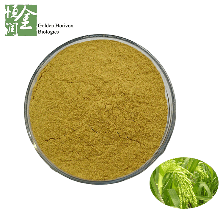 100% Natural Panicum Miliaceum Seed Extract Powder For Ear Infection 