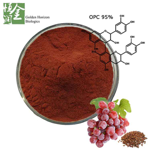 Wholesale Antioxidant Grape Seed Extract Powder Polyphenol 20%-85% for Cosmetics