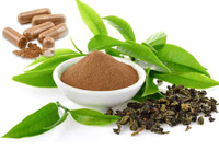 How Green Tea extract Can Help You Lose Weight Naturally