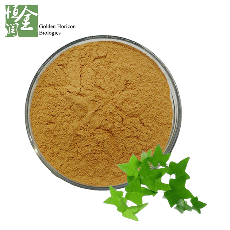 Herbal Medicine Hedera Helix Extract Nepal Ivy Leaf Extract Cough