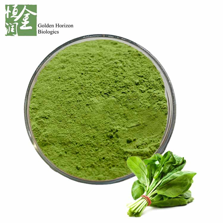 Spinach Extract Supplements GMP Buy plant extract, leaf extract