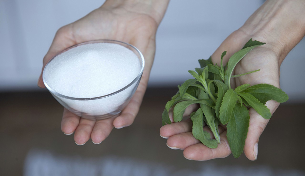 stevia extract . stevia extract .