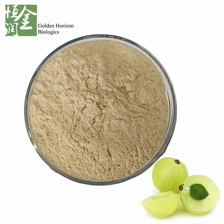 Whosale High Quality Amla Fruit Powder for Hair